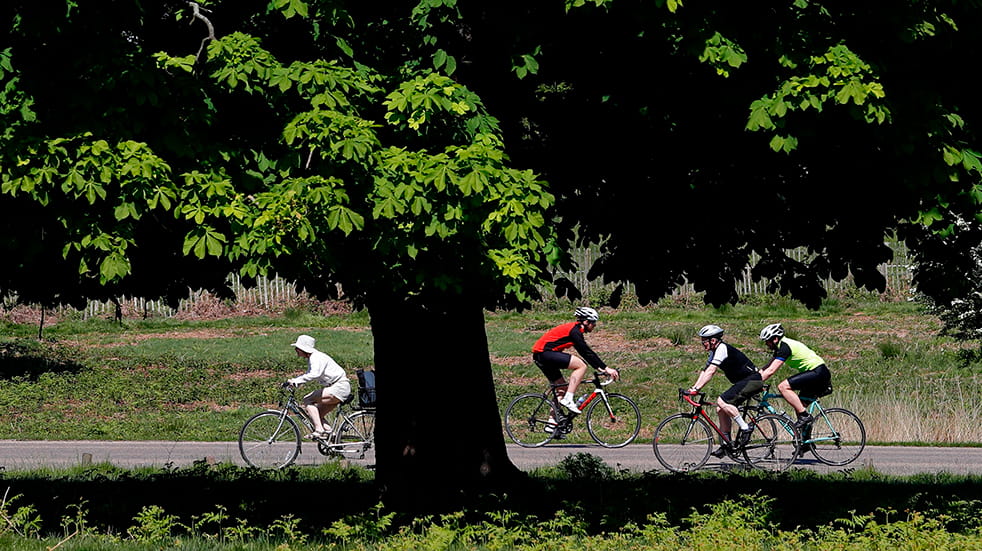 Best British bike rides: Richmond Park in London